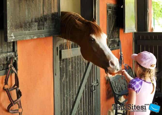 Viverde Hotel Ranch Berke